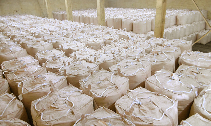 低温倉庫での保管